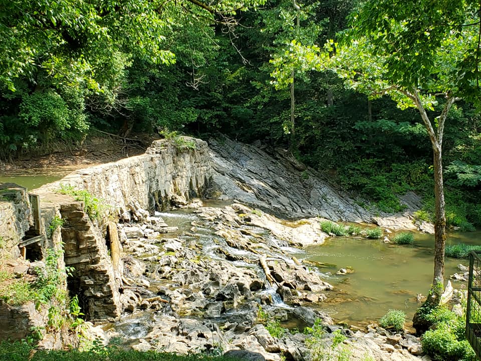 229065354_302031655032948_4342870315926847258_n