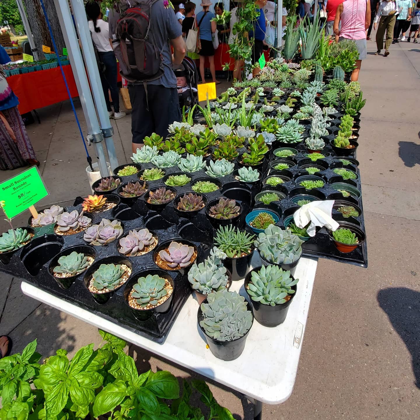 A218355662_297442245491889_1311712935813989337_n