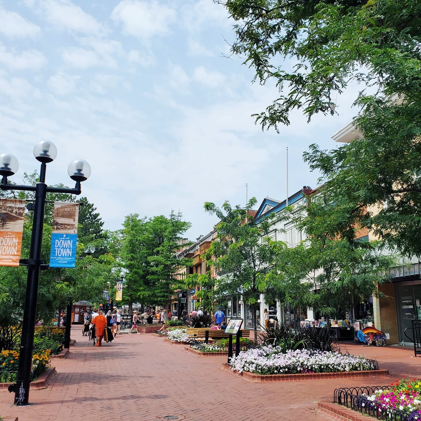 A220425240_297442272158553_6113469548417082929_n