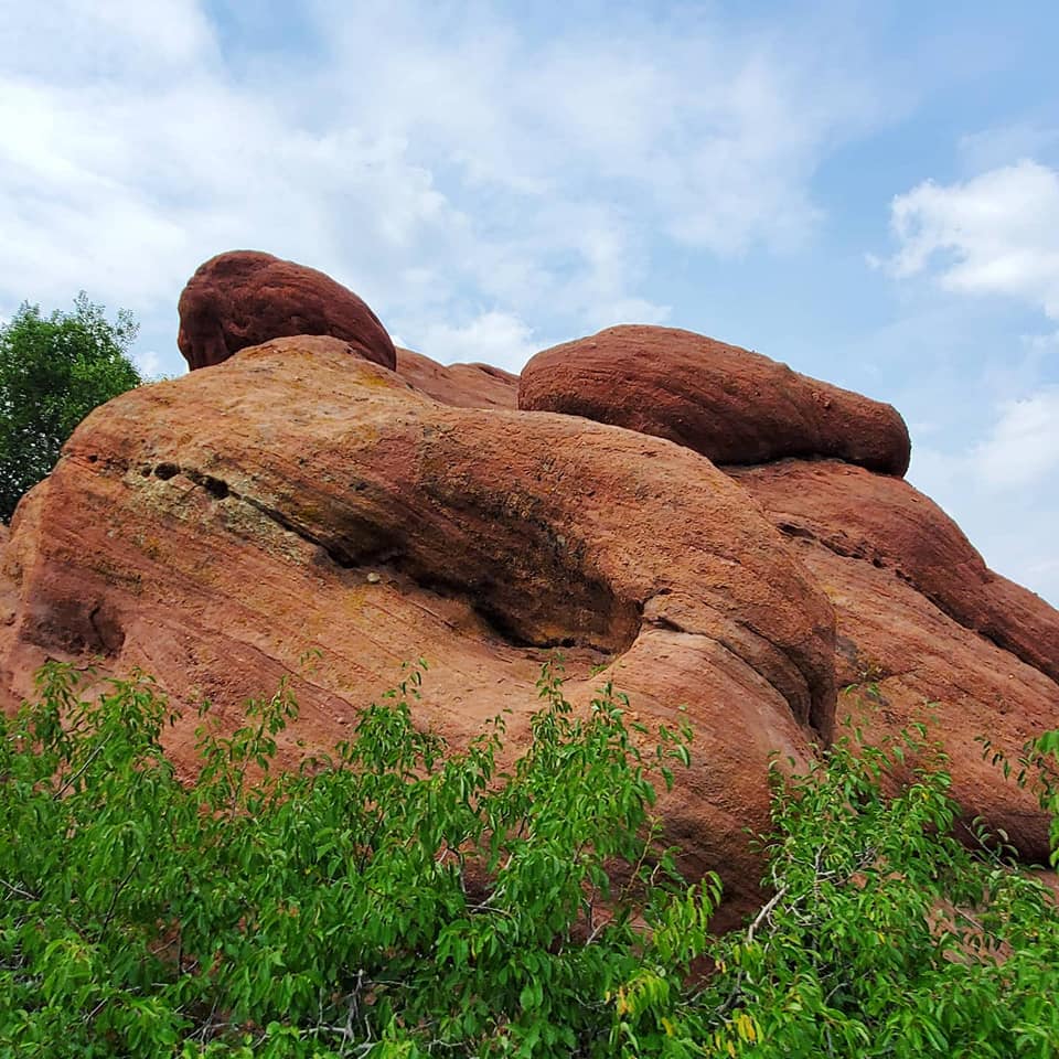 A222396198_297352675500846_7922506112422757508_n