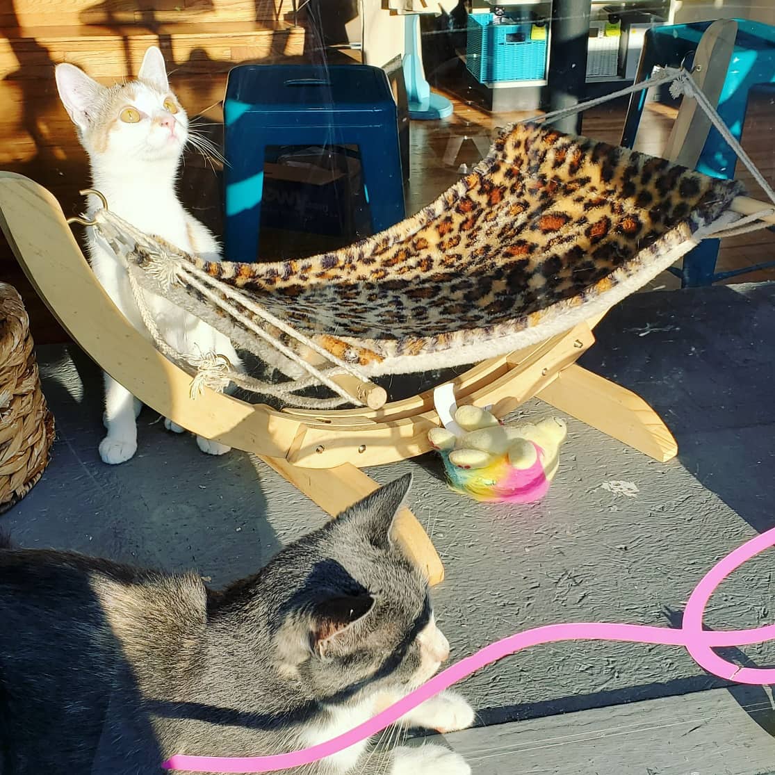 A222854367_296436642259116_243687730455644772_n