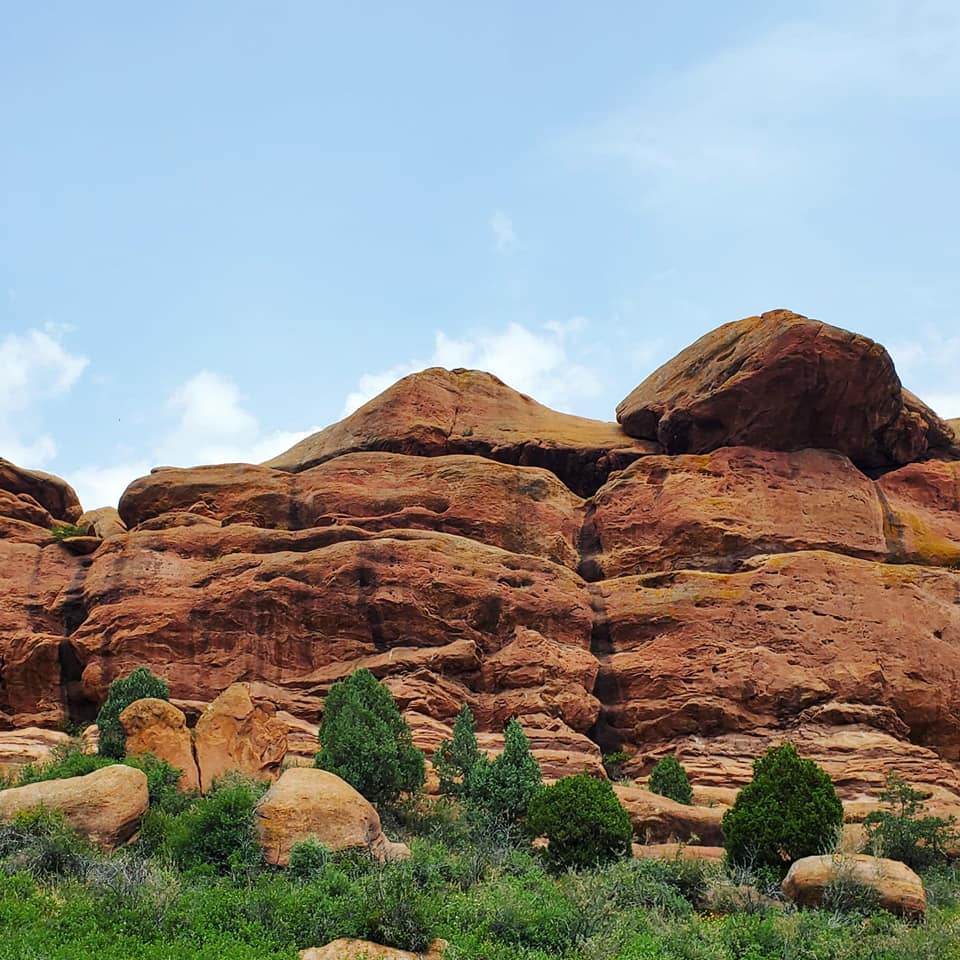 A223618295_297352778834169_7124028333745158727_n