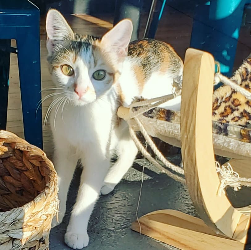 A223871221_296436655592448_2034297668411449421_n