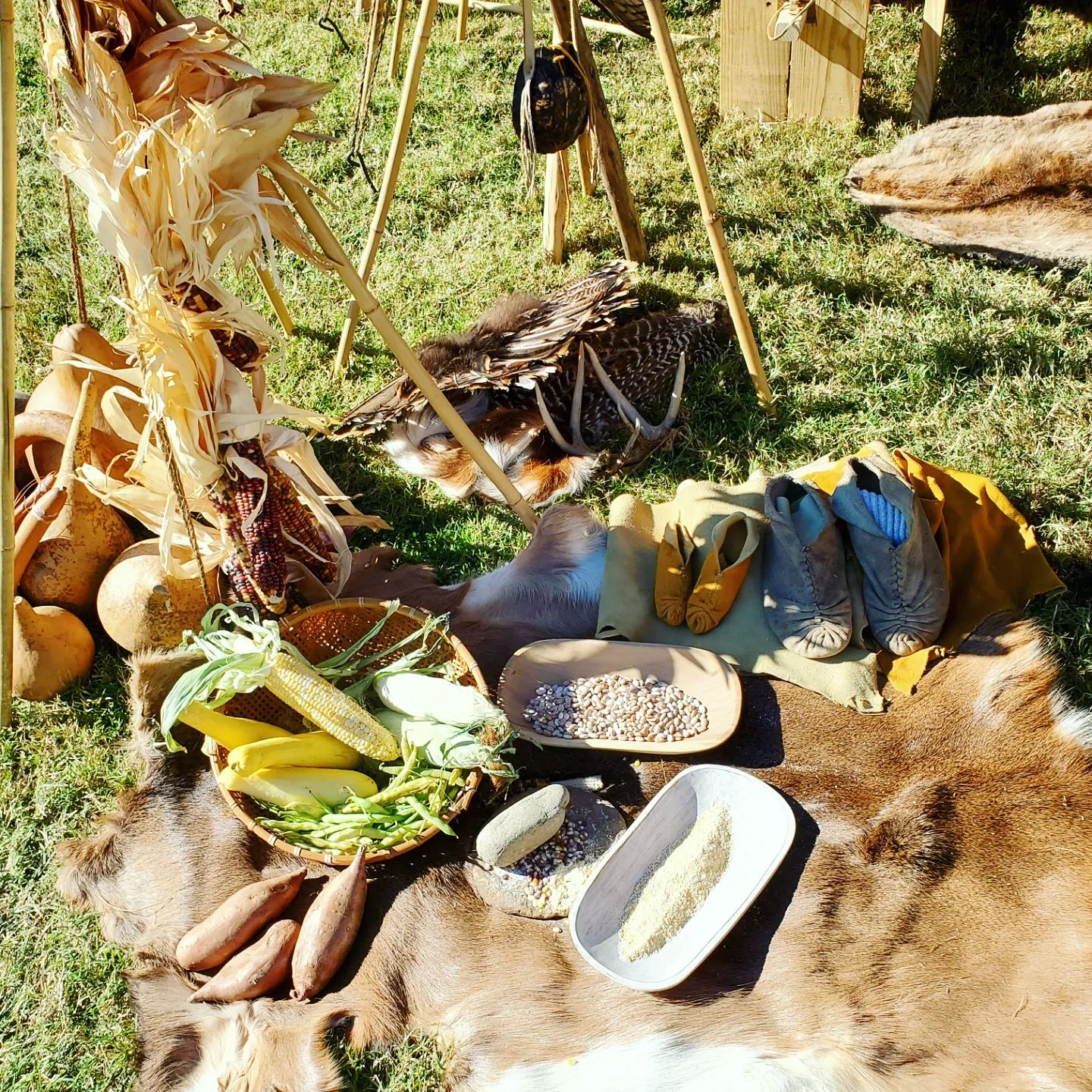 311299863_589119026324208_5001240424185727118_n