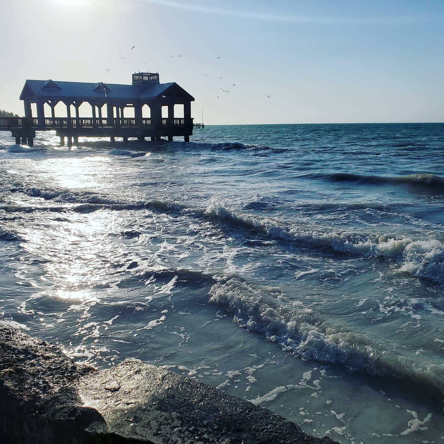 AA167853531_218721656697282_2199688976645808679_n