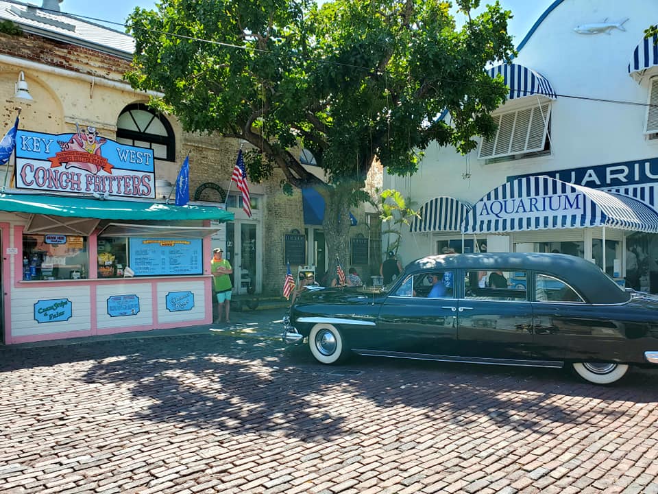 MAL169256876_221738583062256_4856830089387531707_n