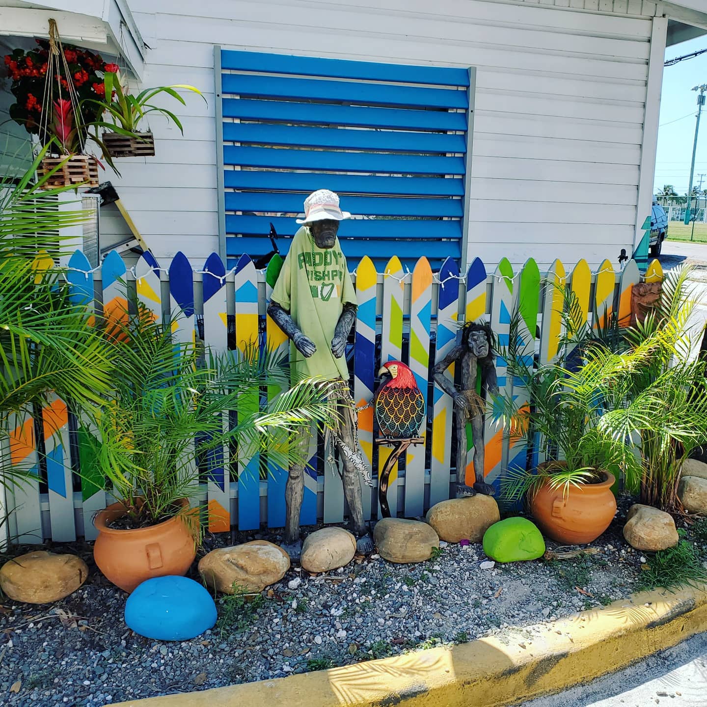 TRINA165897044_215857873650327_2463601338213555057_n