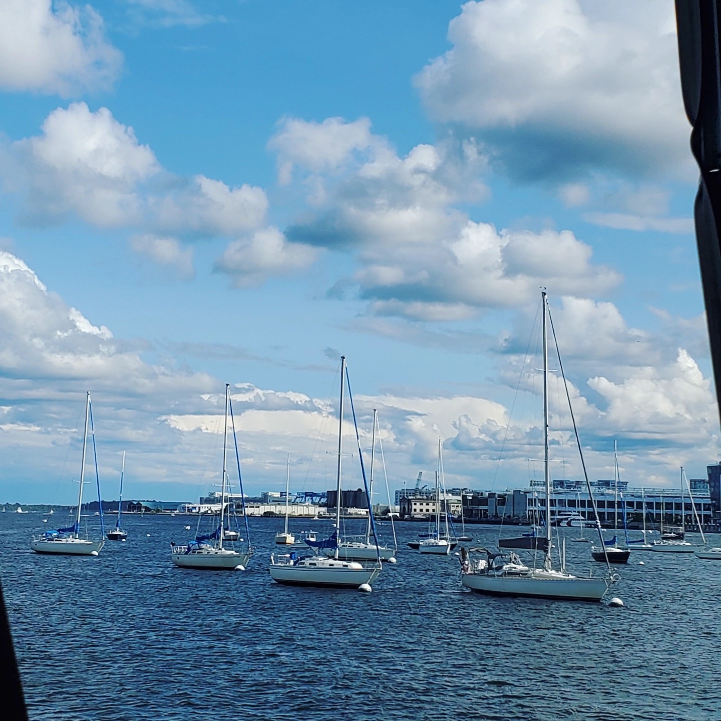 241667319_329824255587021_2040267558640021219_n