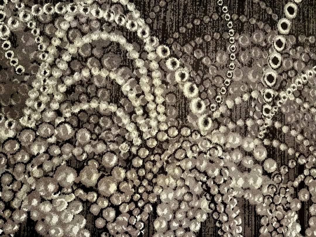 472750679_1095724965663609_8168747742129321266_n