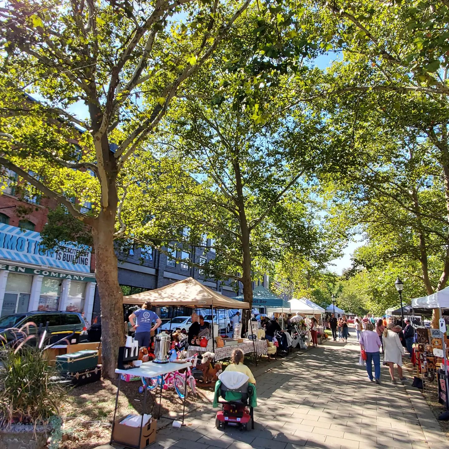 242518577_340650194504427_5809861142162394671_n