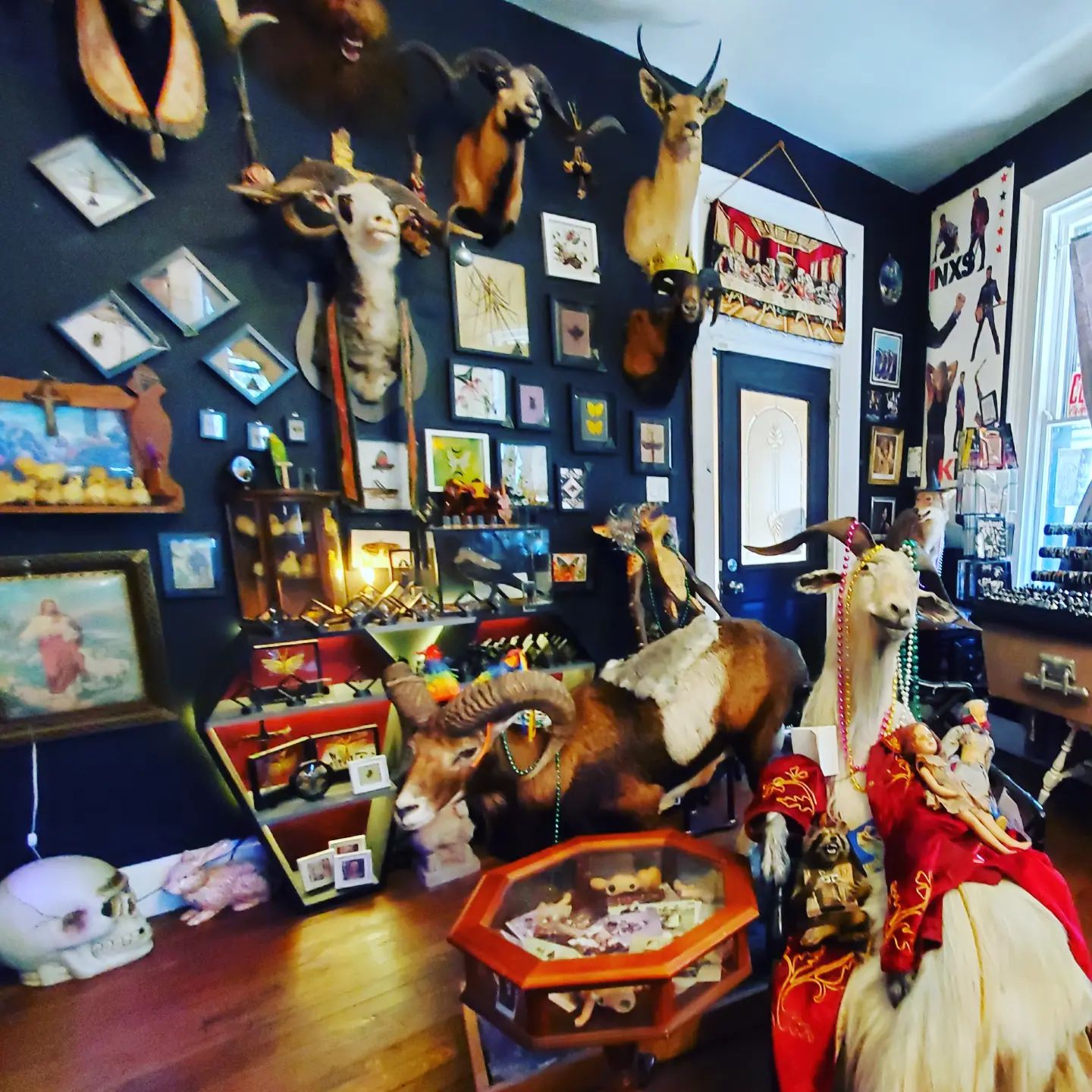 242685135_340648464504600_5089161528884928349_n