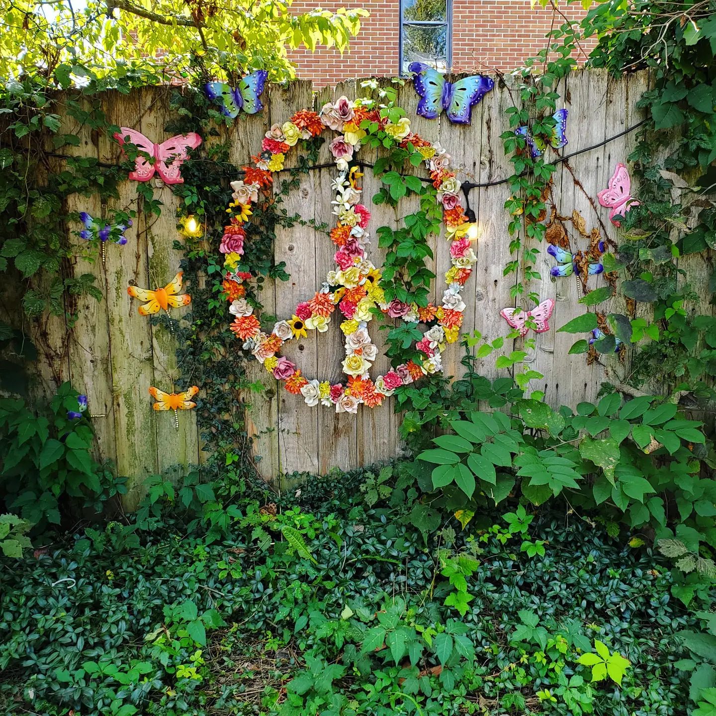 242912153_339893804580066_2850611768610419734_n