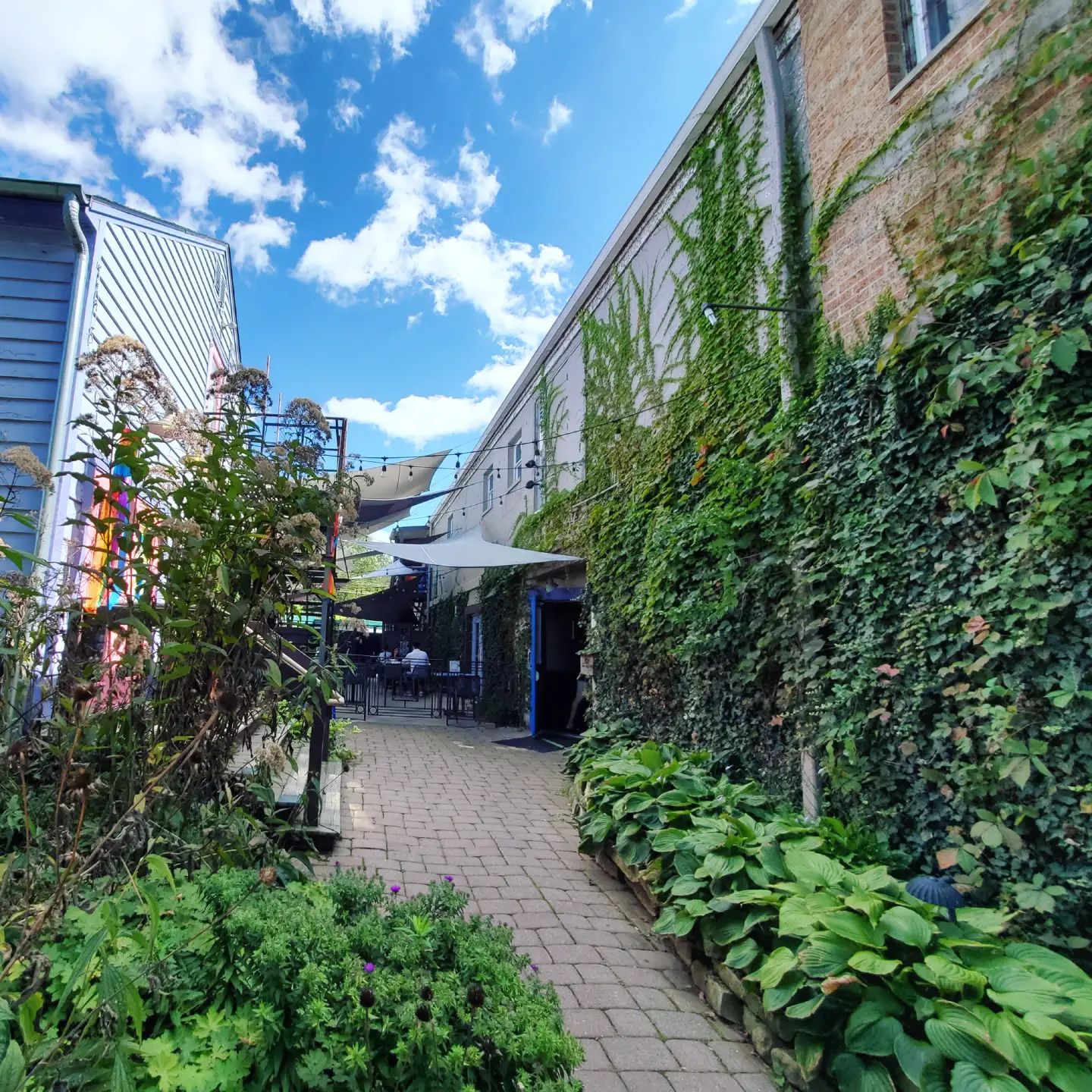 242984872_339897257913054_1391798034684614544_n