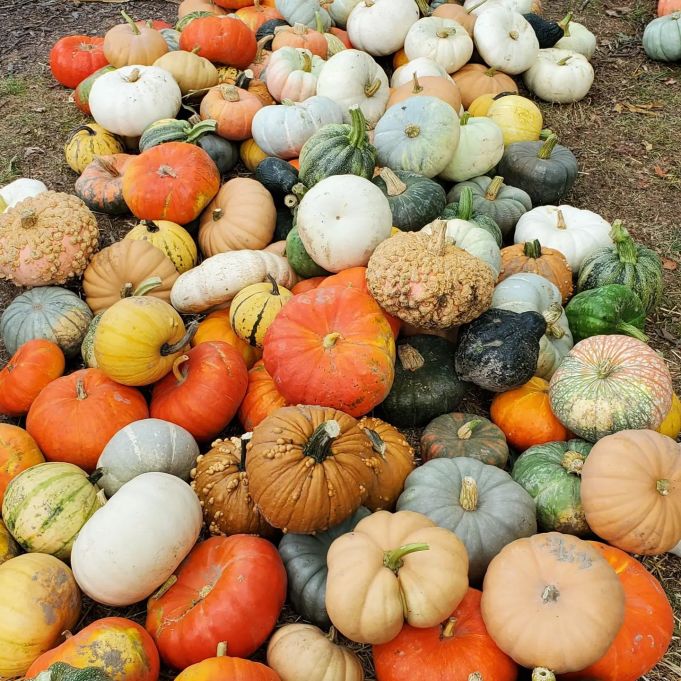 242999289_339883381247775_108953916689599484_n