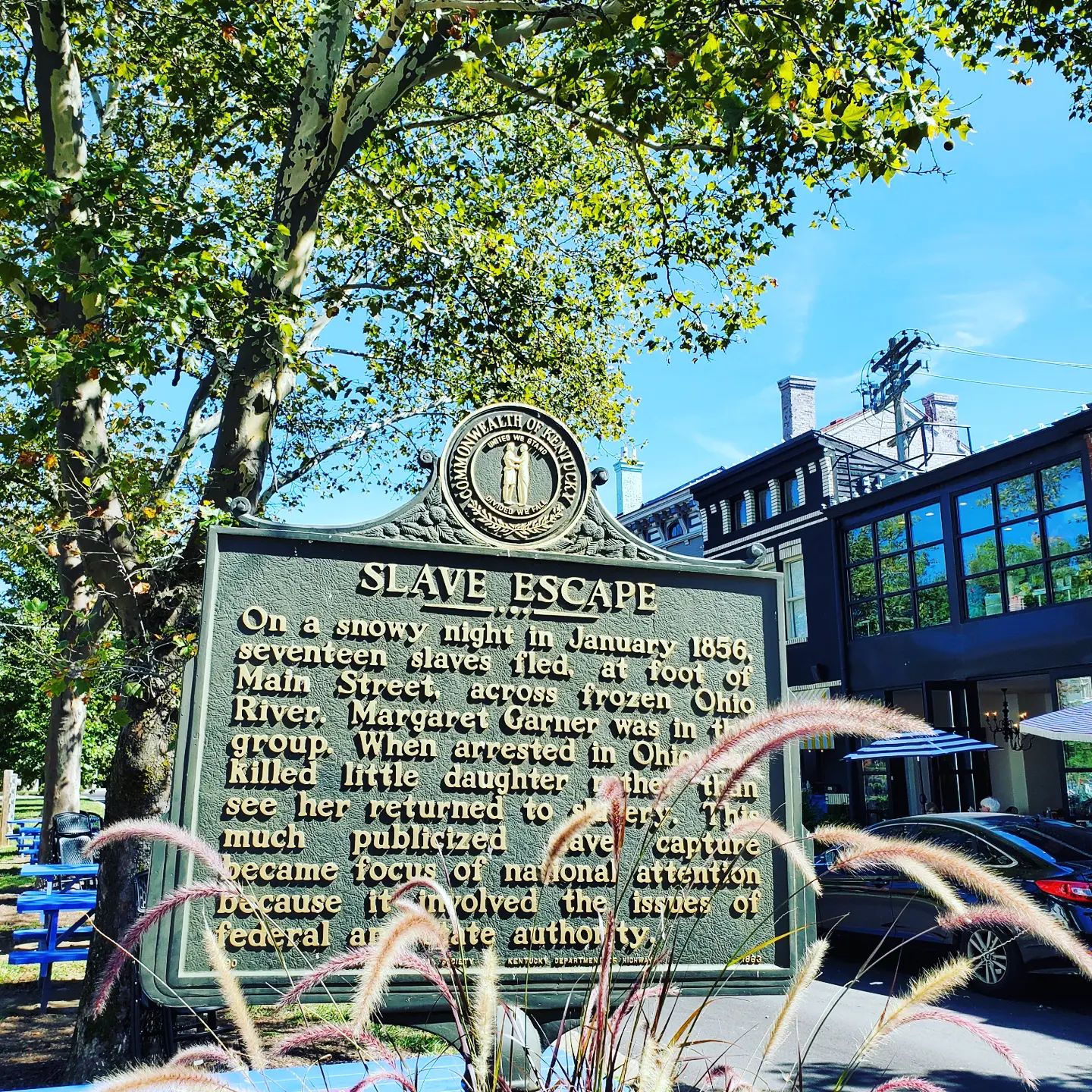 243102783_340648504504596_8375420597374371418_n