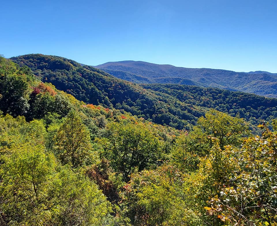 245594645_359017236001056_5412123956318040599_n