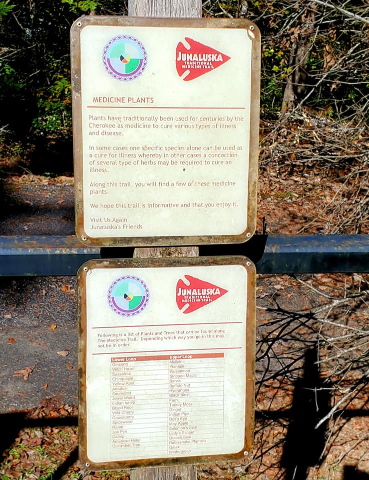 246413397_359529829283130_3498064003931329566_n