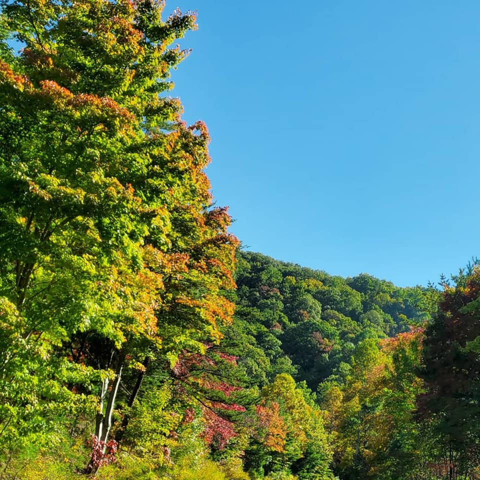 247572610_359017392667707_1789834709572999915_n