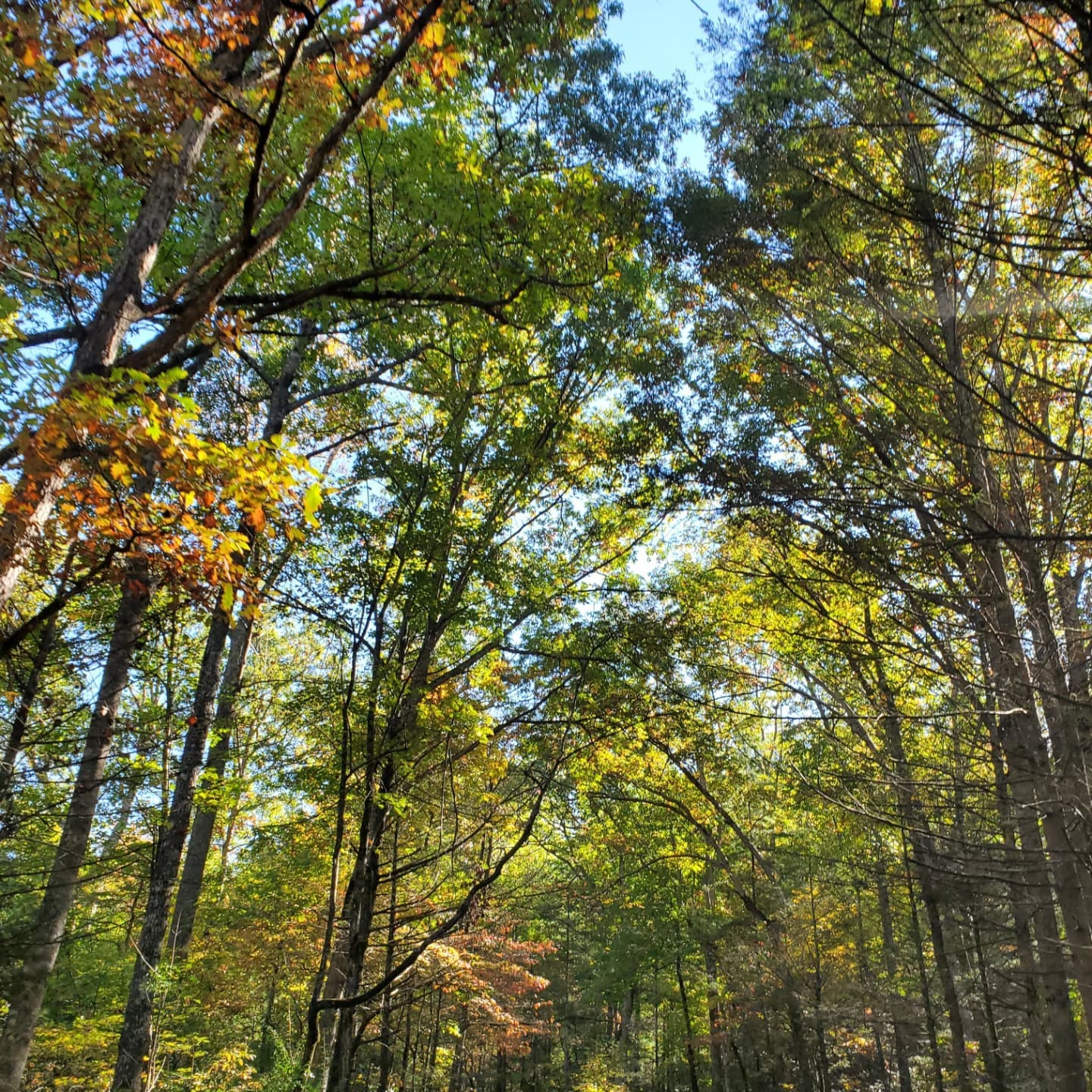 247681922_359118192657627_106606733786259390_n