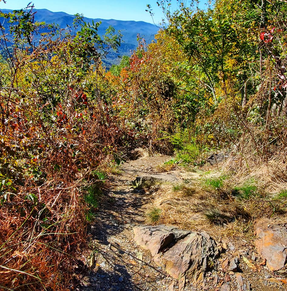 247755183_359017512667695_4586966453439792705_n