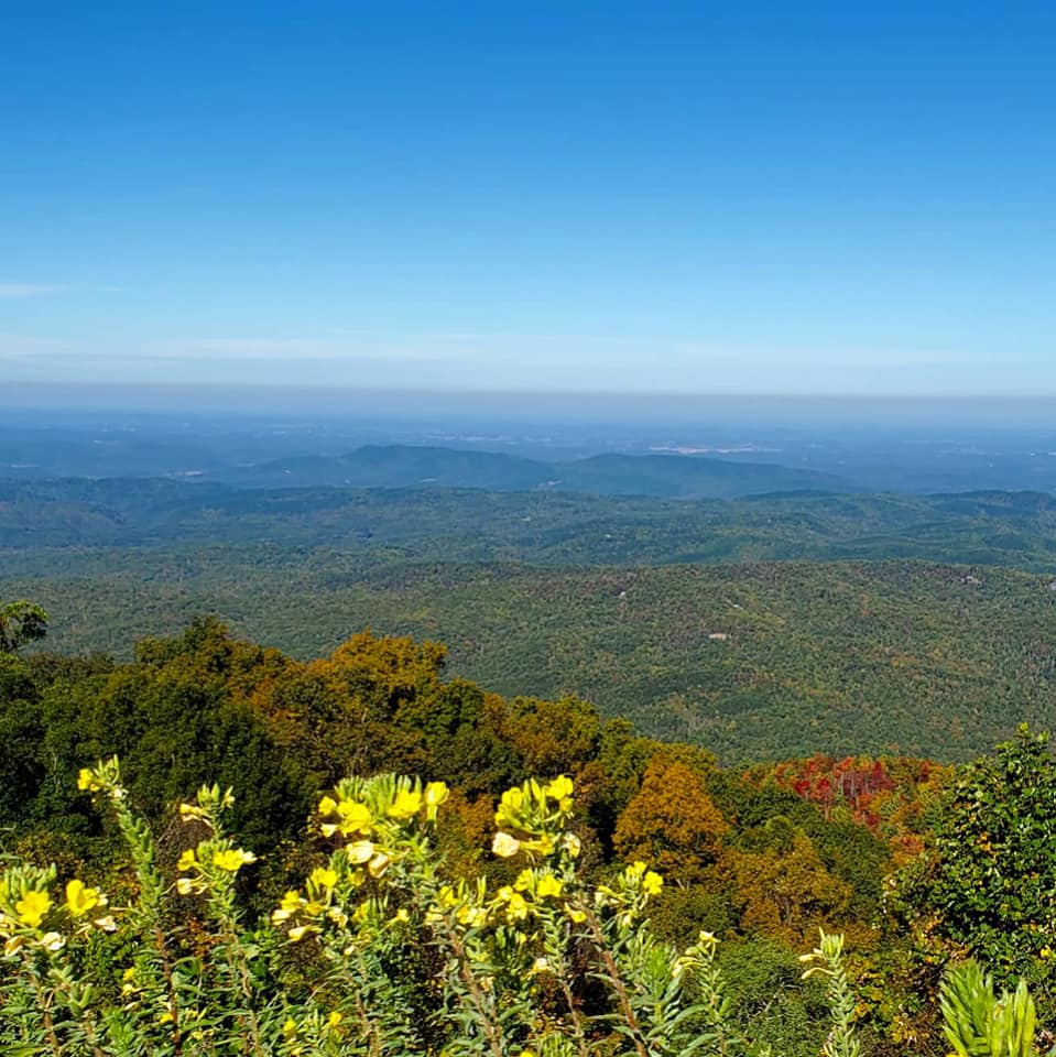 247865686_359017719334341_8398045461150826557_n