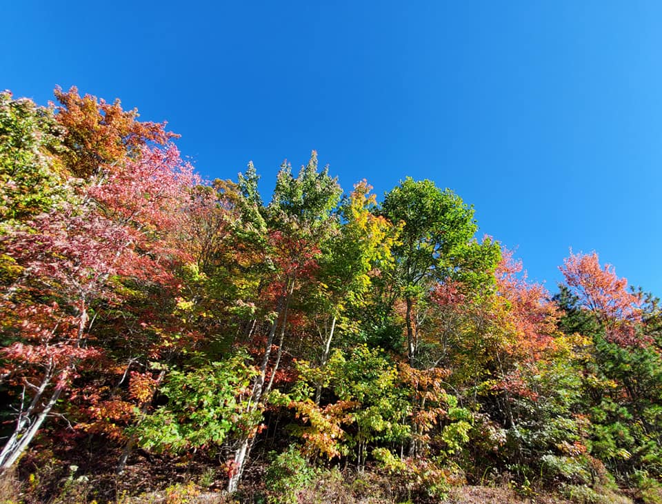 248312817_359530209283092_6470721206145056452_n