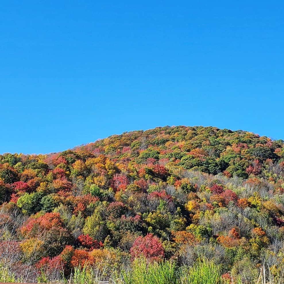 248534065_359118169324296_8399783429801364839_n