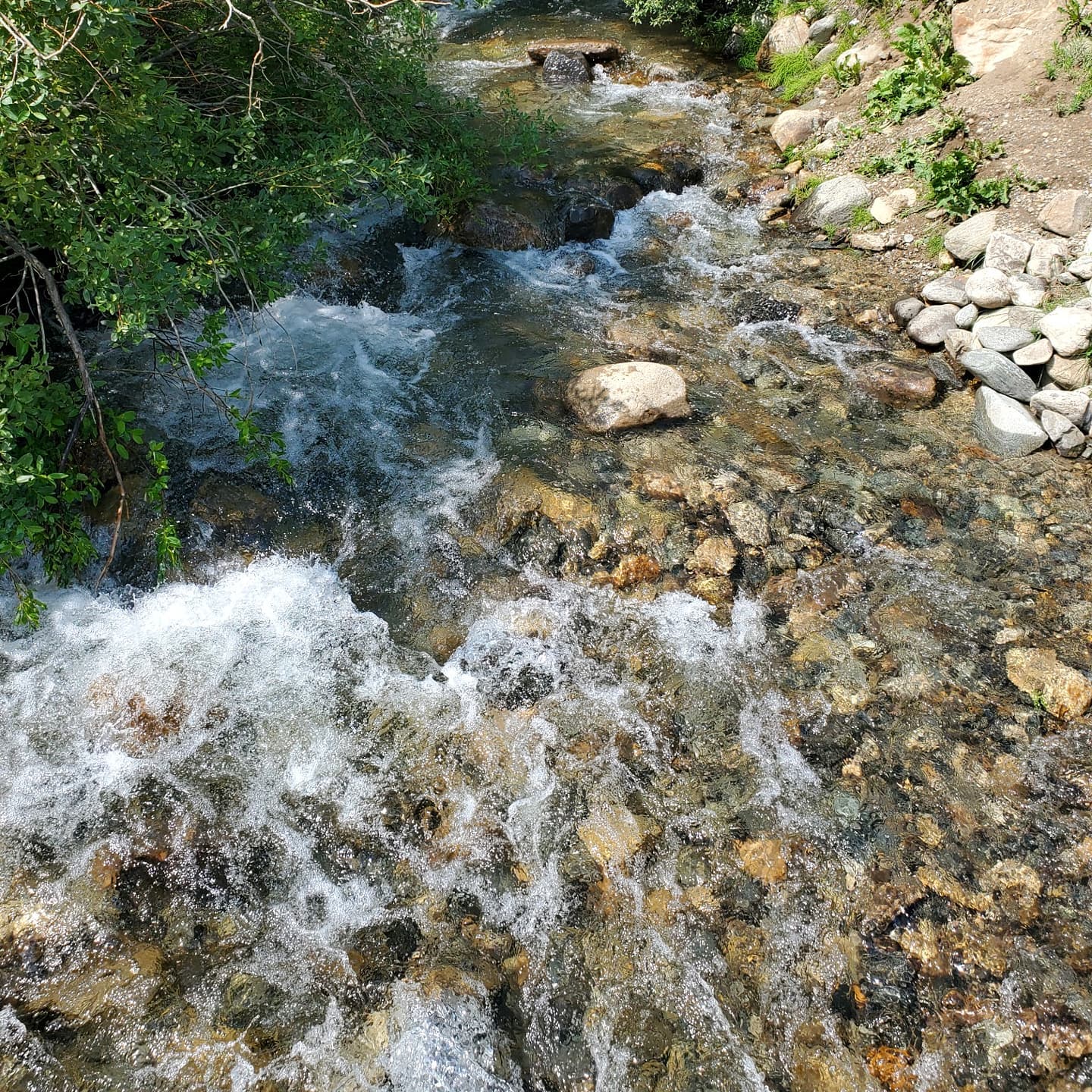 A225713707_298132158756231_8216960801318711698_n