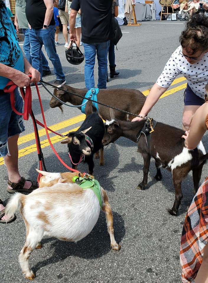 279194934_474974504405328_8763732725918347286_n