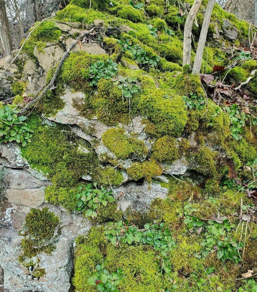 281066255_488114169758028_7070813958631268683_n