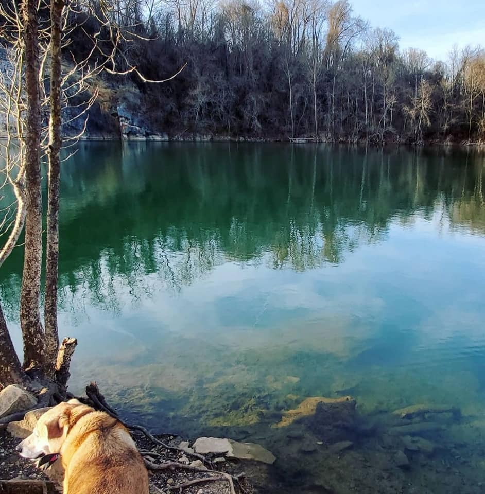 281196746_488113759758069_6889855812833780211_n