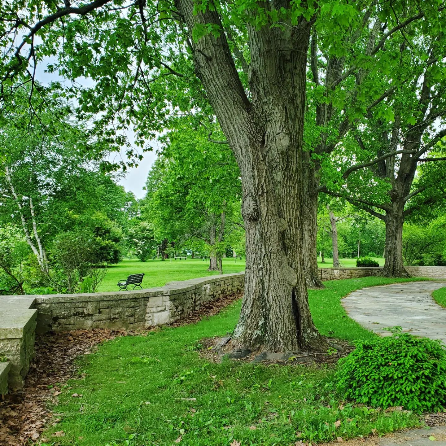 281224109_492980009271444_4124234561706758400_n