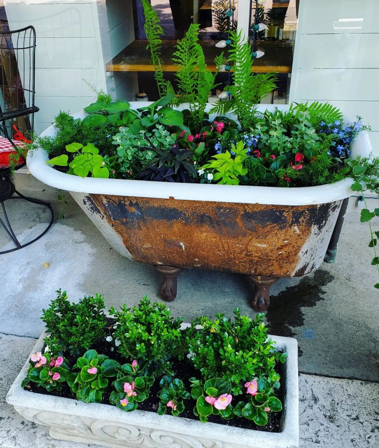 282276455_492369839332461_4160446726150082312_n