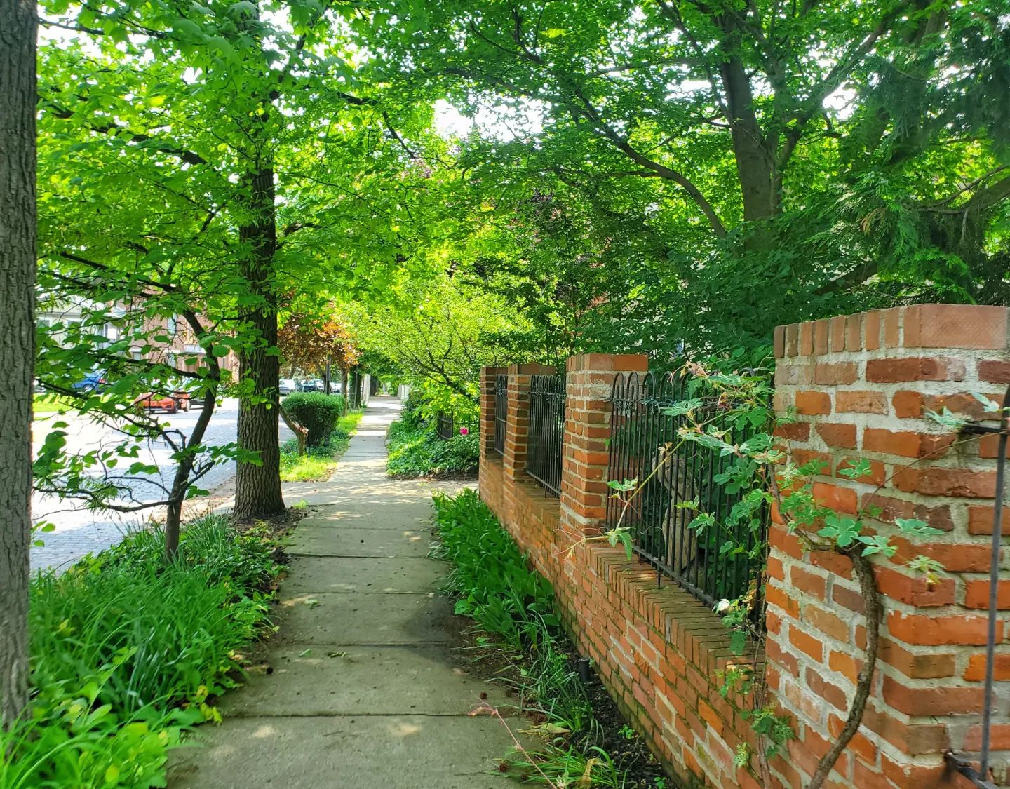 282864703_493063445929767_6995578375511352950_n