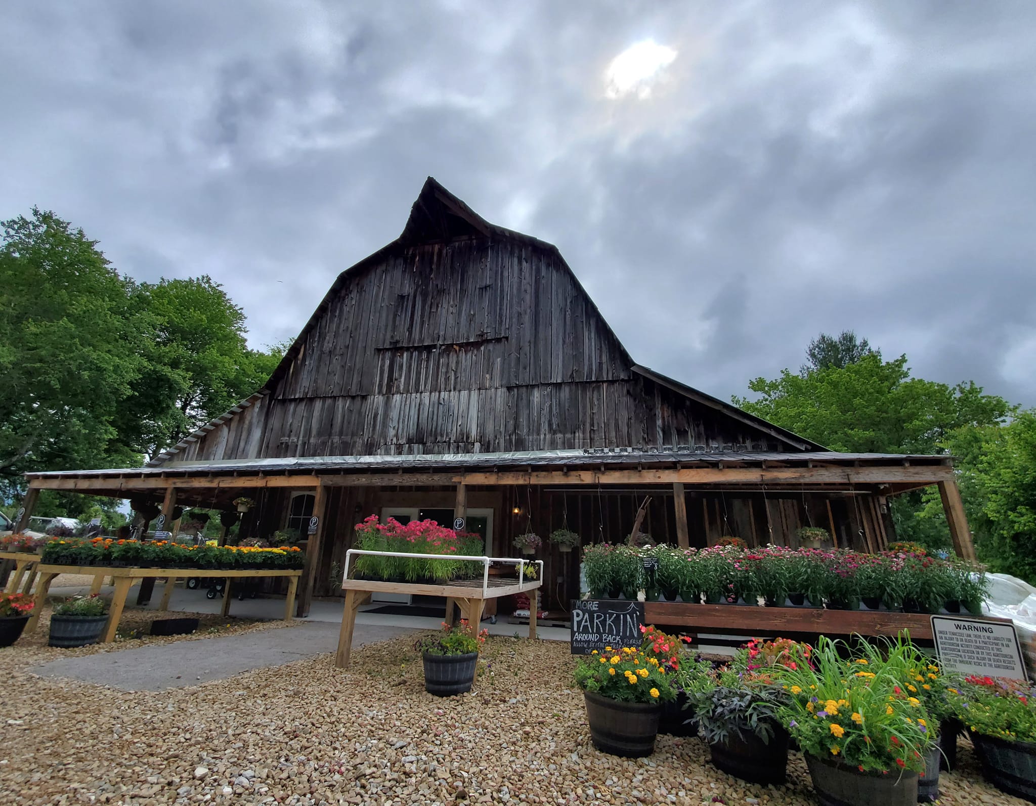 284771497_497746002128178_8654088670645862352_n