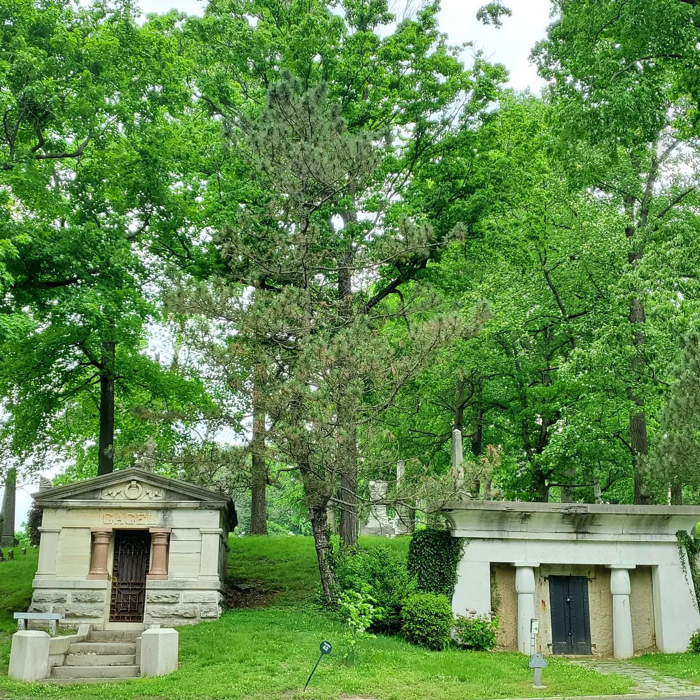 283311896_493004099269035_8677291217479079514_n