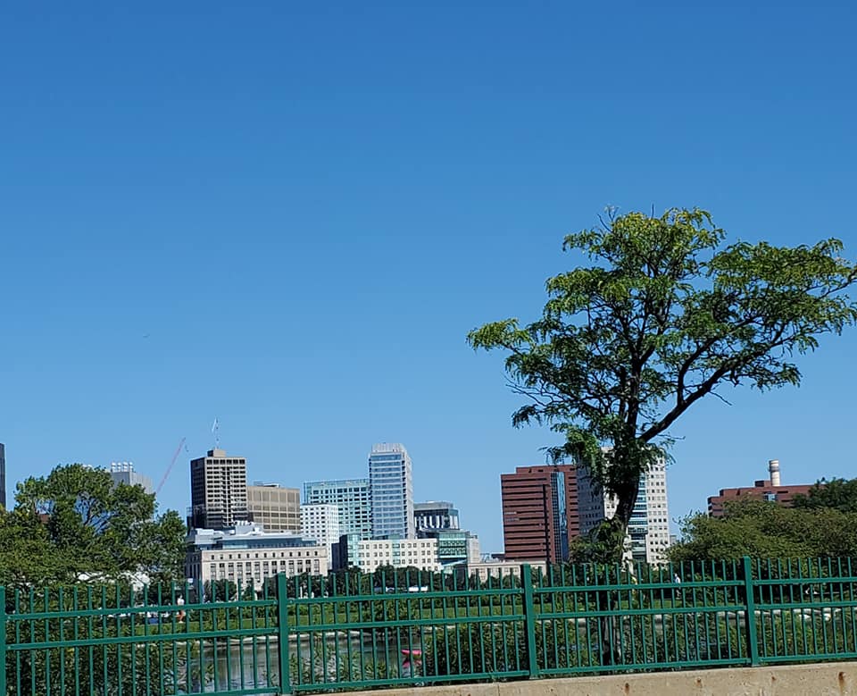 242220570_333604515208995_2733259491772882246_n