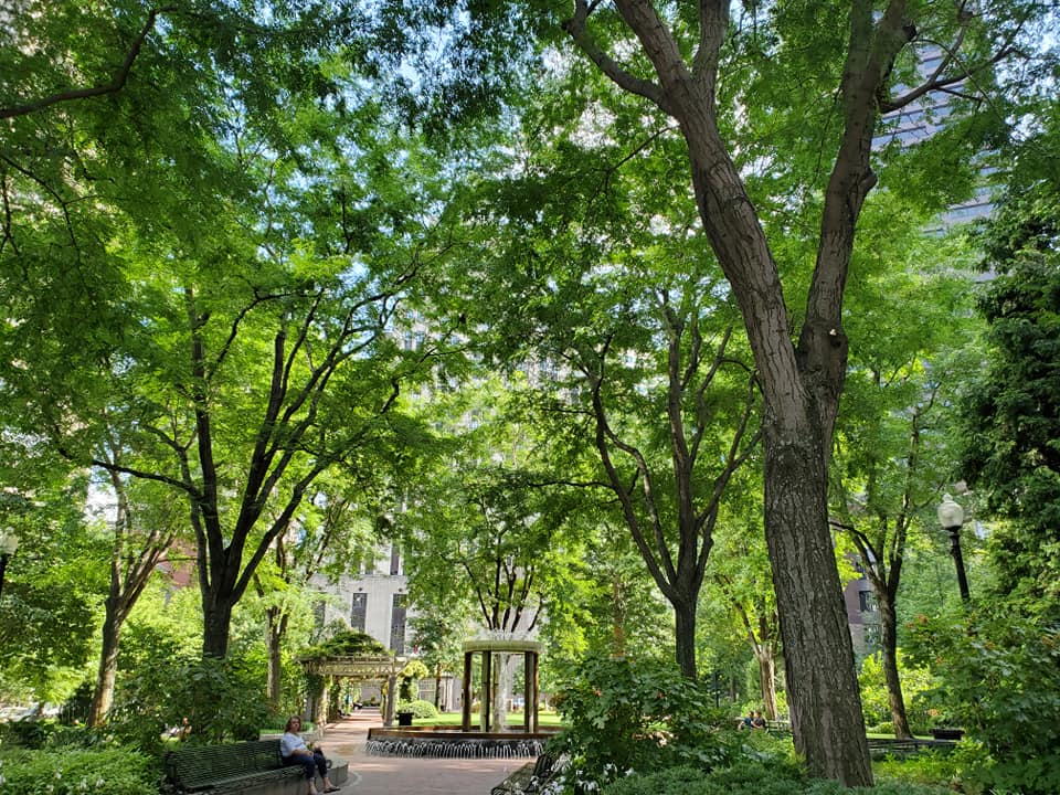 242230288_333605465208900_2738503352874709196_n