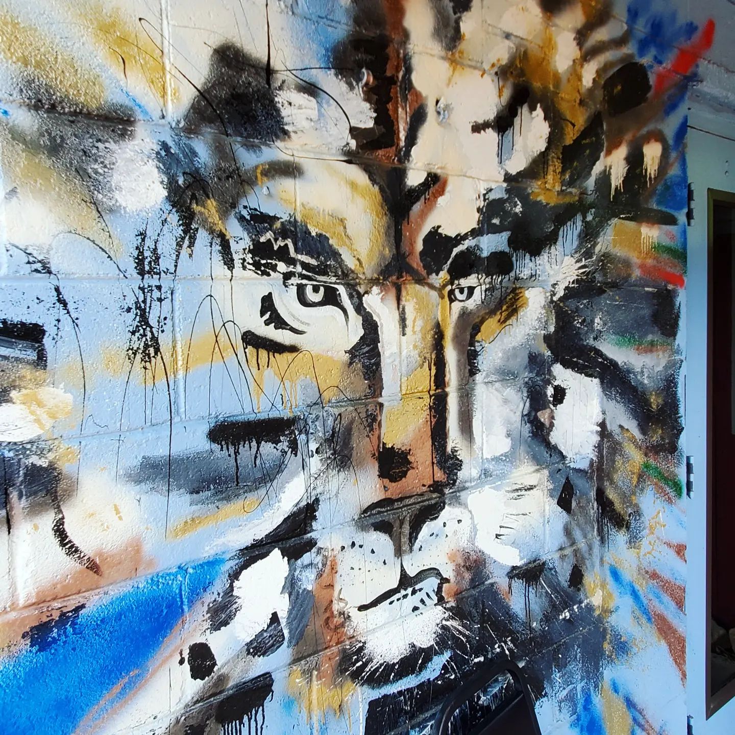 294083457_534729871763124_4877621089740491494_n