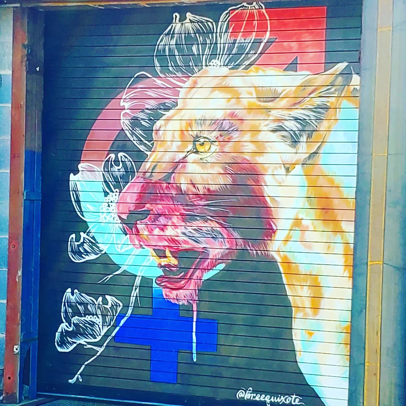 294308835_534745151761596_4319997759713451059_n