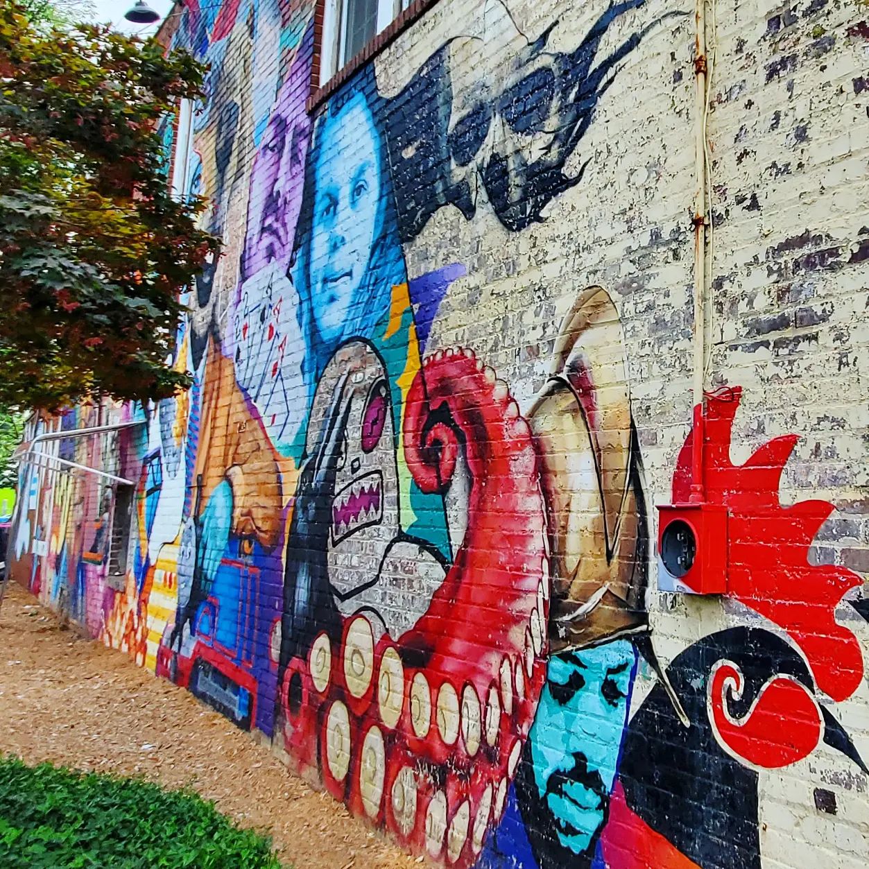 294460529_534729898429788_6129795185573700205_n