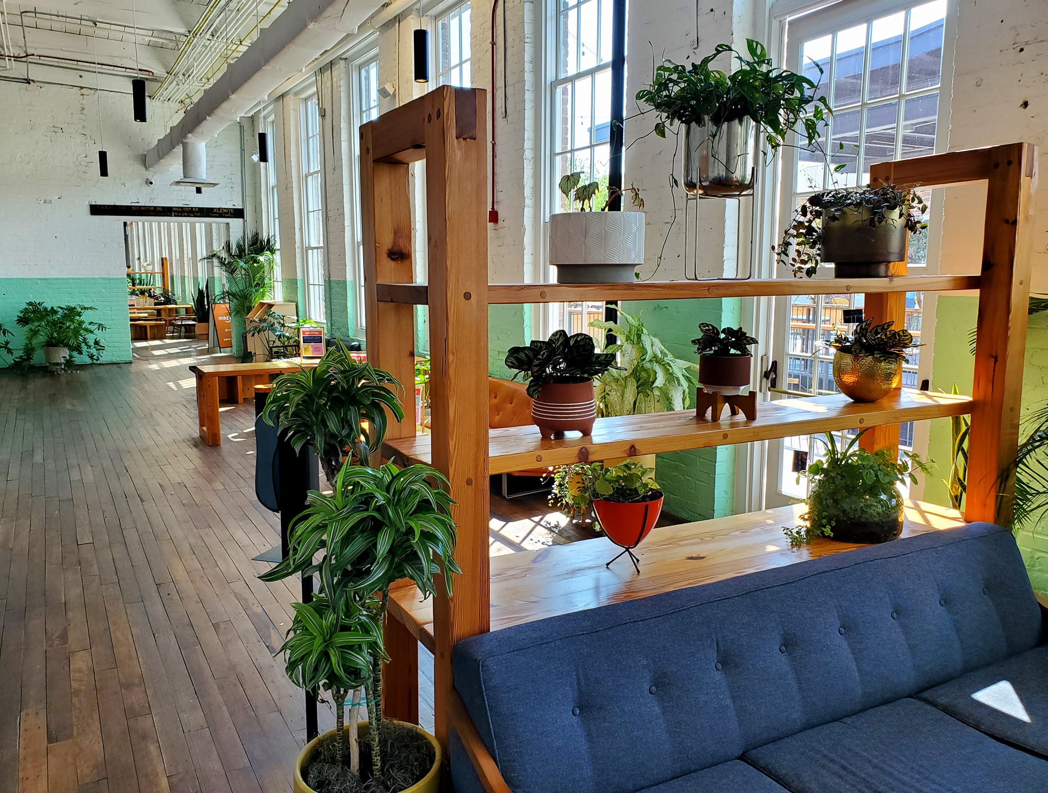 295686982_536155124953932_6866004100867374753_n