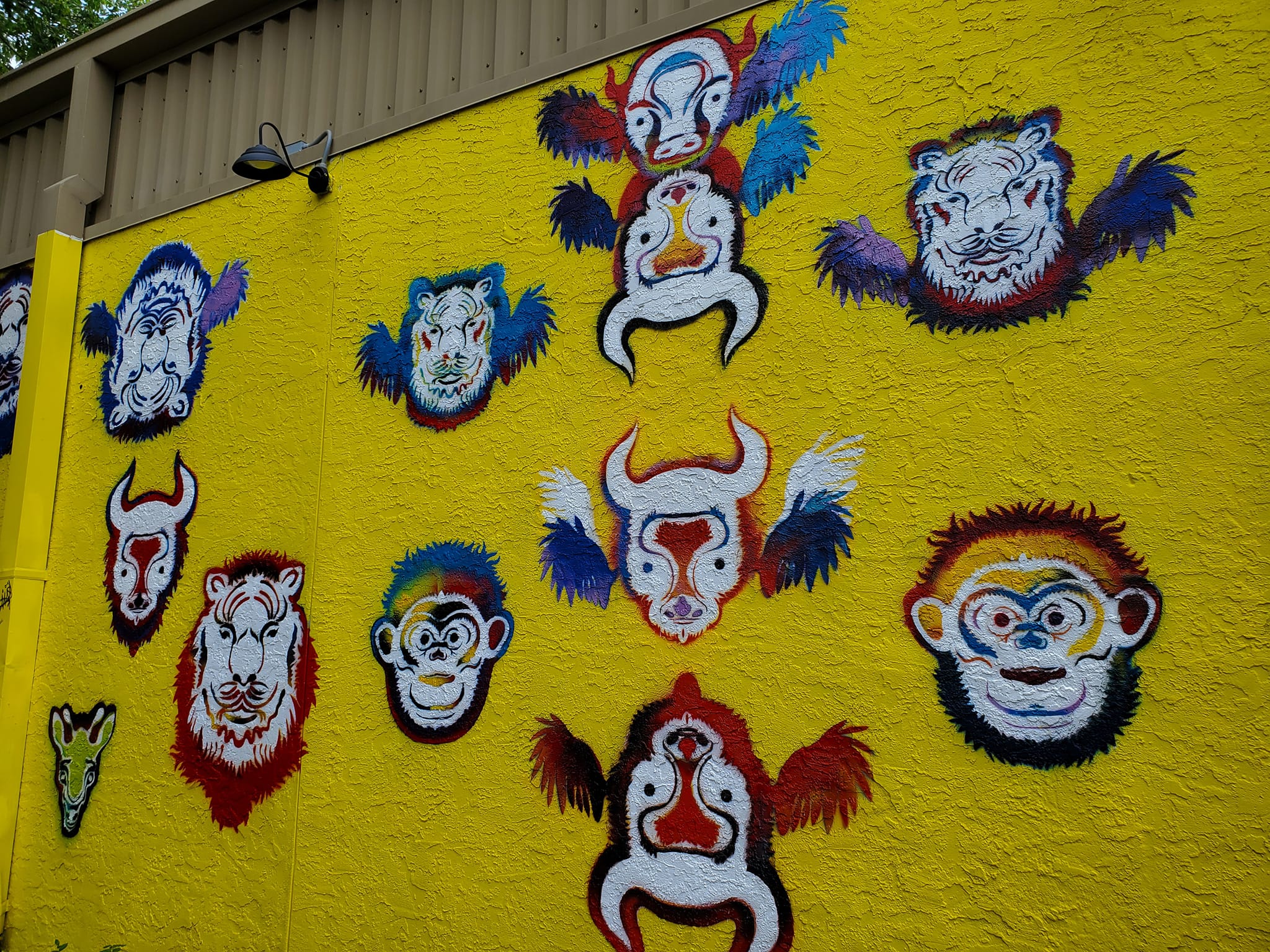 296141701_537440081492103_4498594093848521059_n