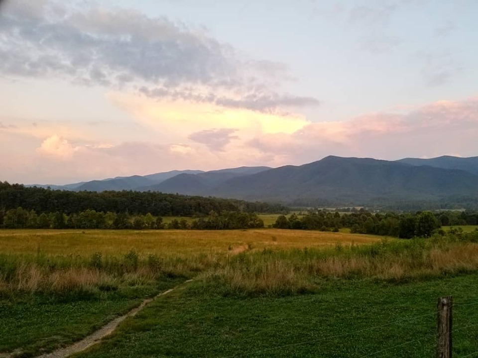 67420245_10157636216463885_6845745740279447552_n