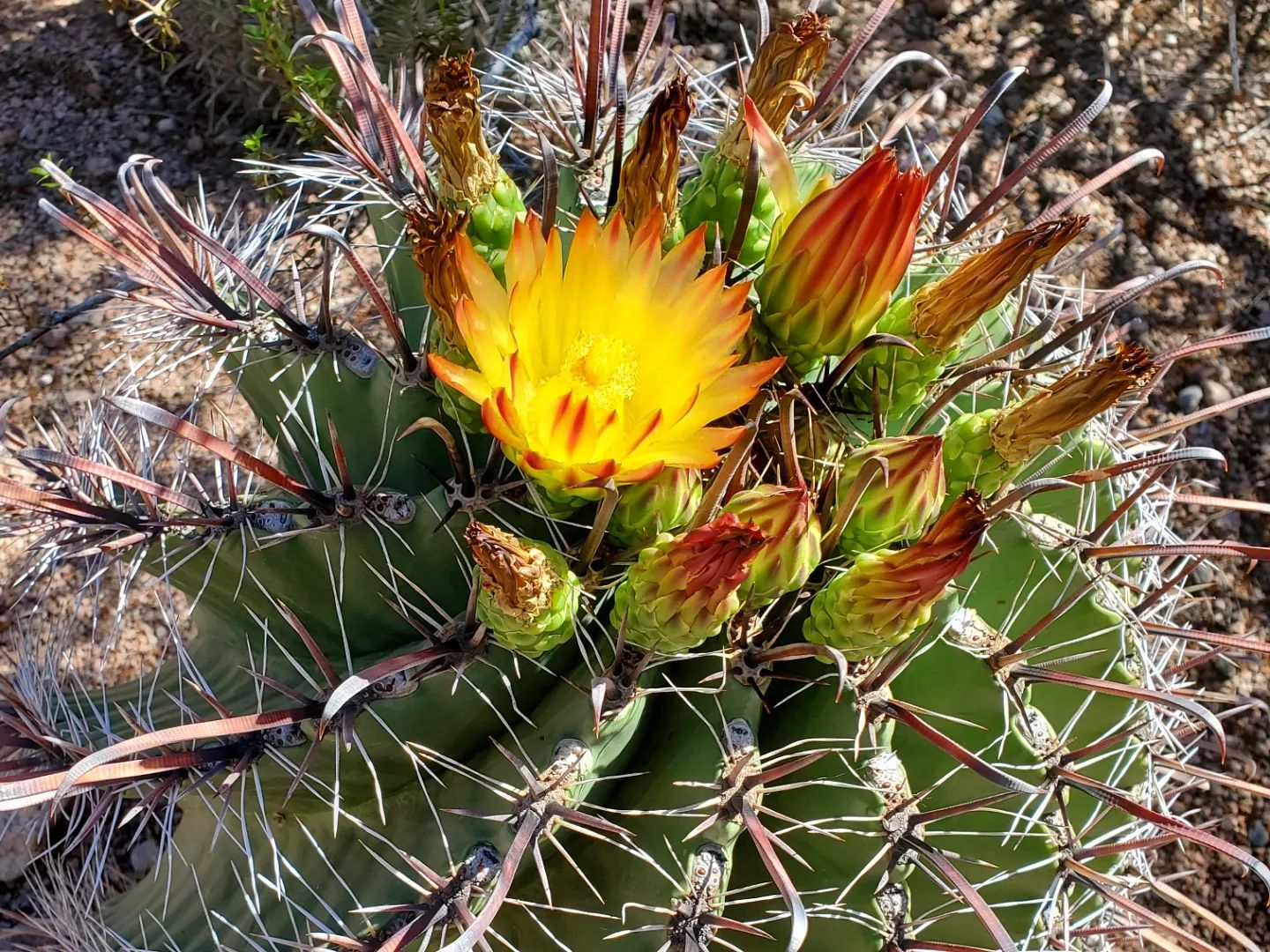 306277854_572833994619378_9002655435485953824_n