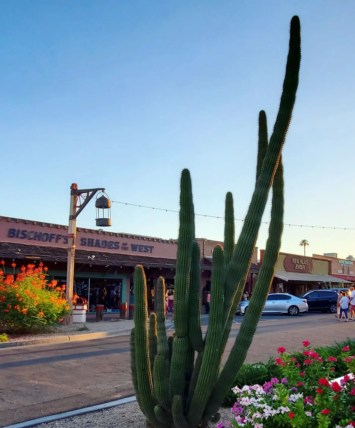 306980143_572922664610511_3608068619666821817_n