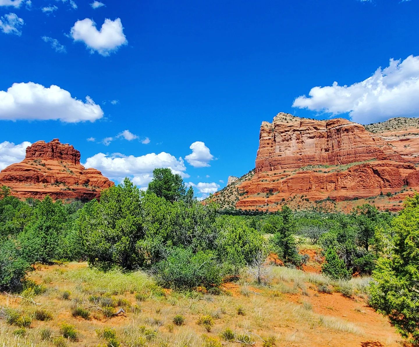 307030347_571955658040545_1812425047577496644_n