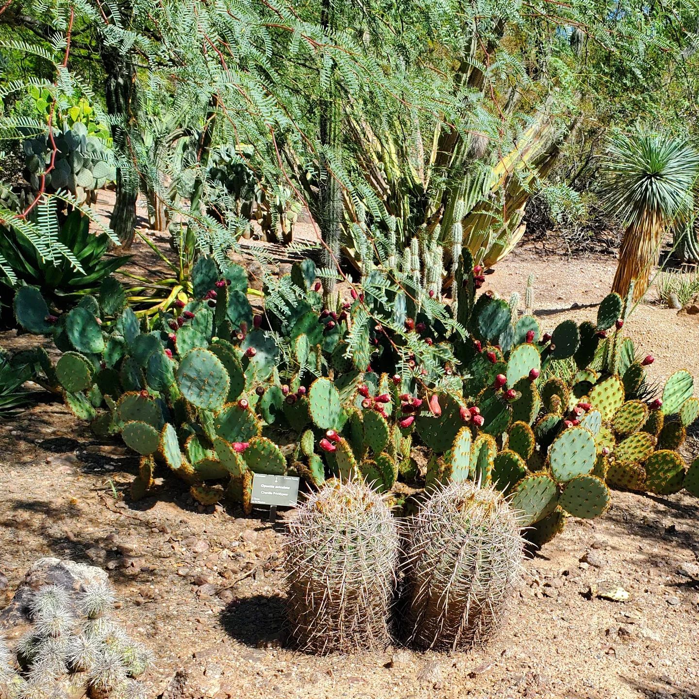 307030640_572836554619122_7878217187792813140_n