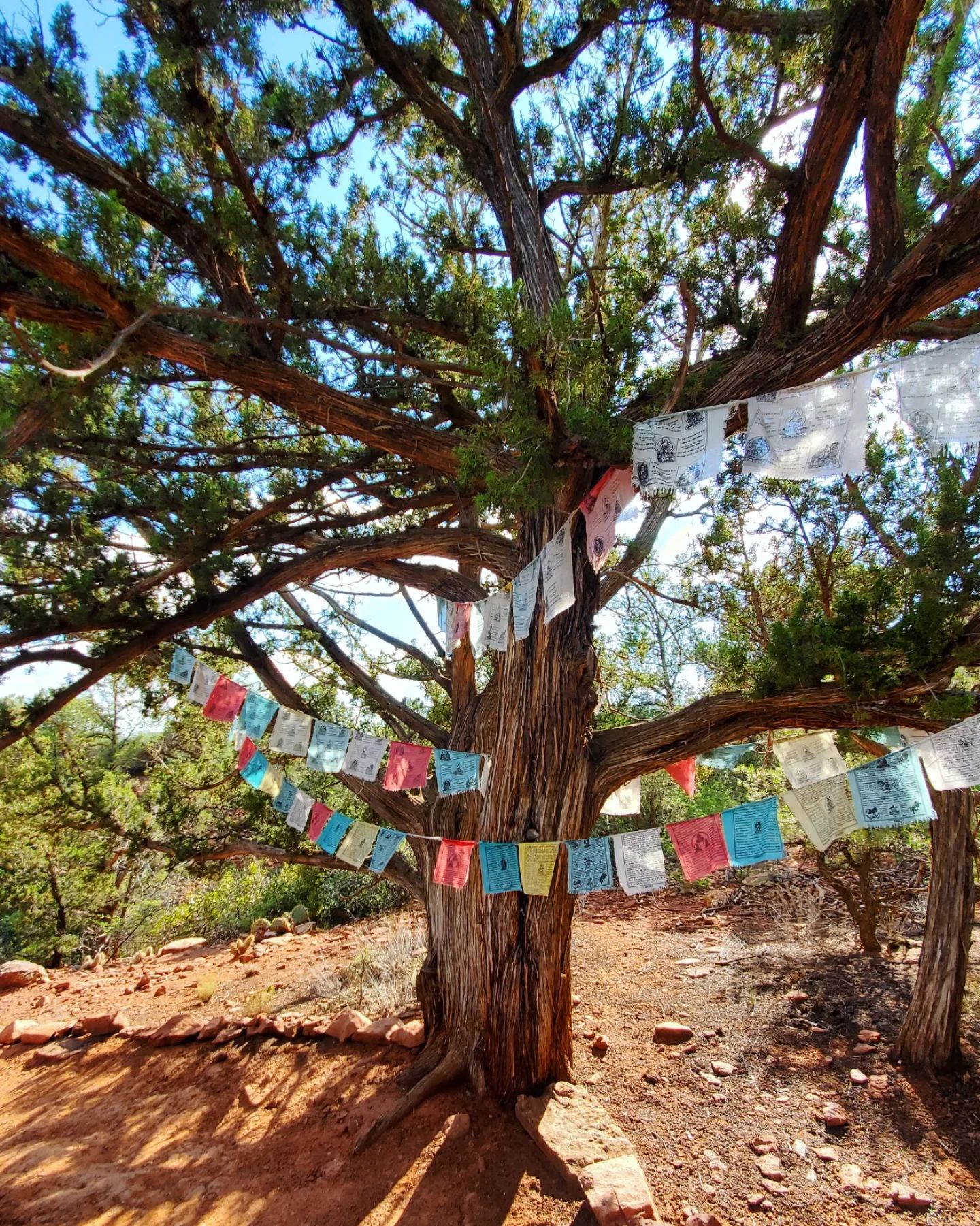 307123902_571929608043150_1754325714323285304_n