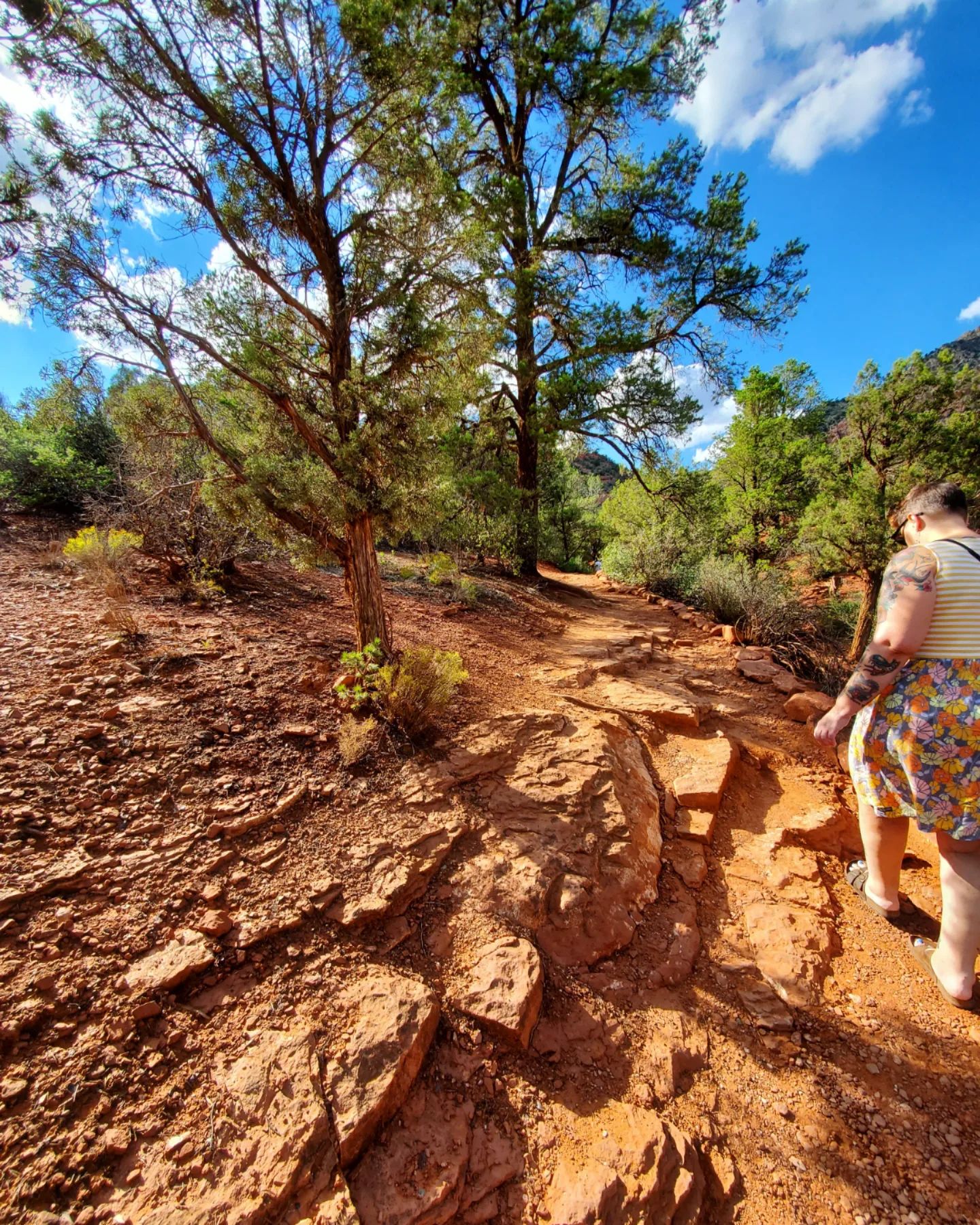 307155494_571929598043151_7757020587218611718_n